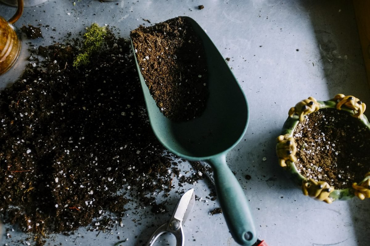 Tidy garden beds and edges