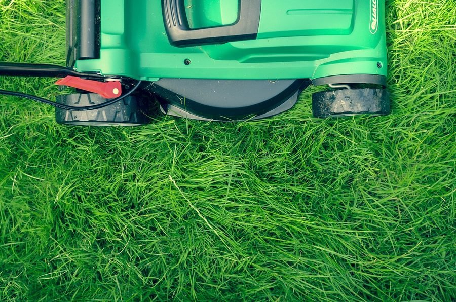 Weed control on a residential lawn